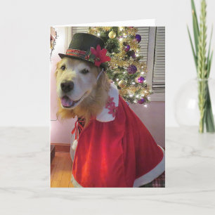 Cartes Pour Fêtes Annuelles Joyeux Caroleur de Noël de Golden Retriever