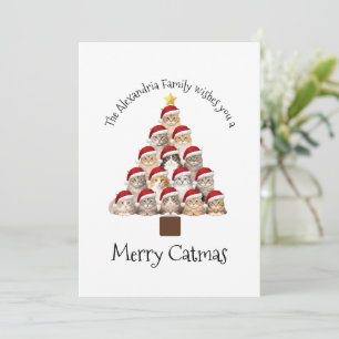 Cartes Pour Fêtes Annuelles Joyeux Cat Noël Personnalisé Famille Noël Fêtes