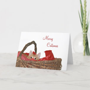 Cartes Pour Fêtes Annuelles Joyeux Catsmas