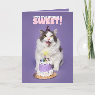 Cartes Pour Fêtes Annuelles Joyeux Chat d'Anniversaire Avec Gâteau Licking Fac