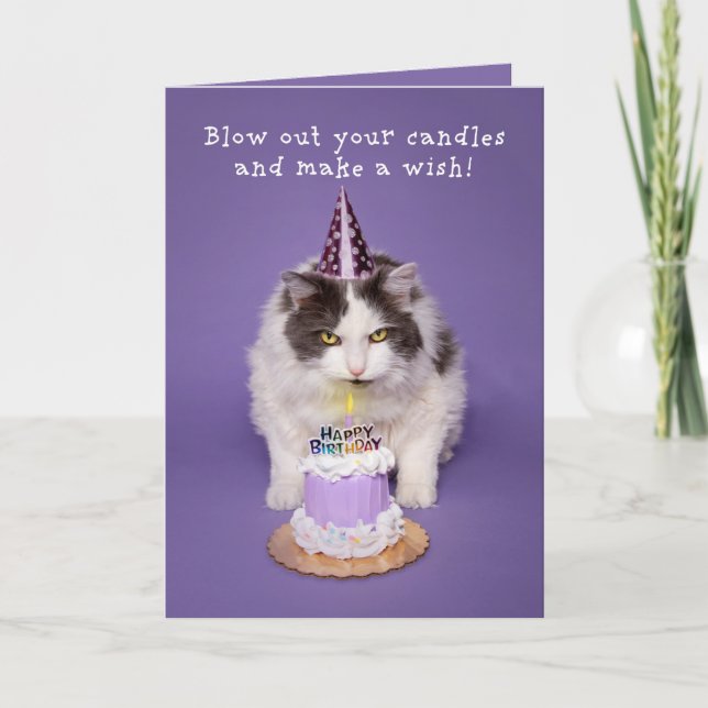 Cartes Pour Fêtes Annuelles Joyeux Chat d'Anniversaire Frottant Bougie Sur Hum (Devant)