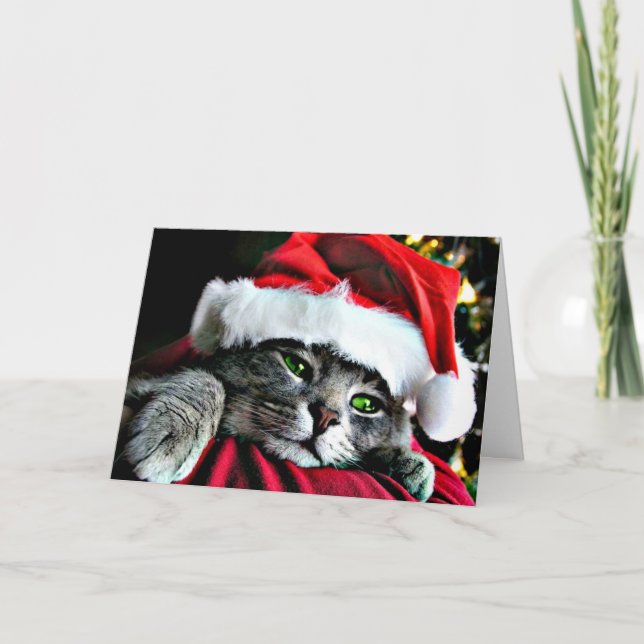 Cartes Pour Fêtes Annuelles Joyeux chat de Noël (Devant)