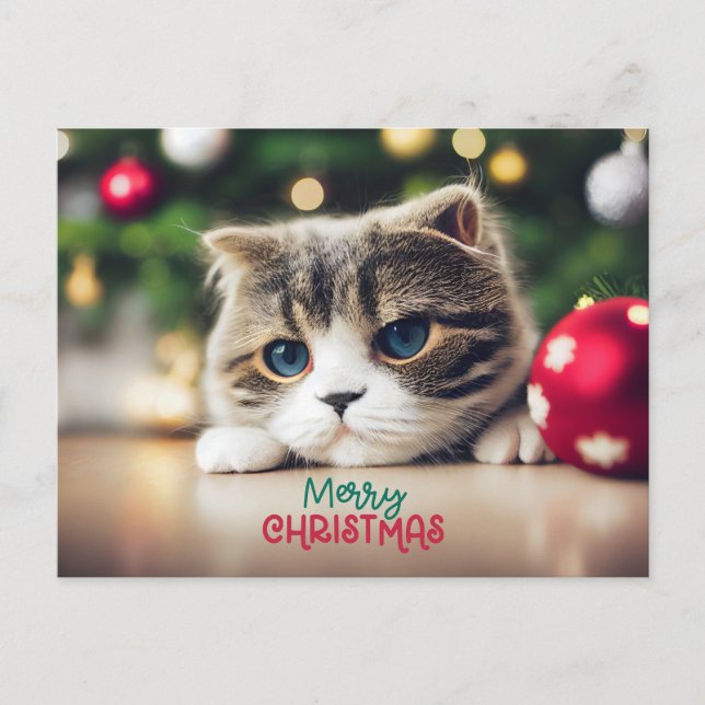 Cartes Pour Fêtes Annuelles Joyeux chat de Noël mignonne aux yeux bleus (Devant)