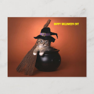 Cartes Pour Fêtes Annuelles Joyeux chat d'Halloween