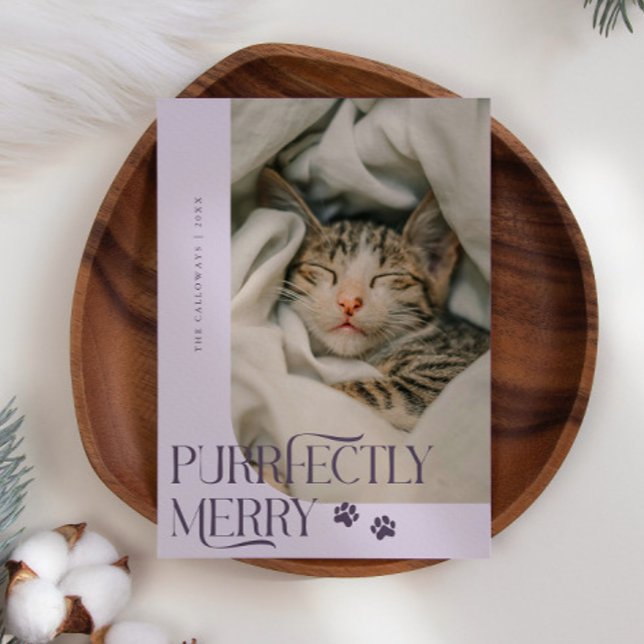 Cartes Pour Fêtes Annuelles Joyeux chat photo violet Noël (Créateur téléchargé)