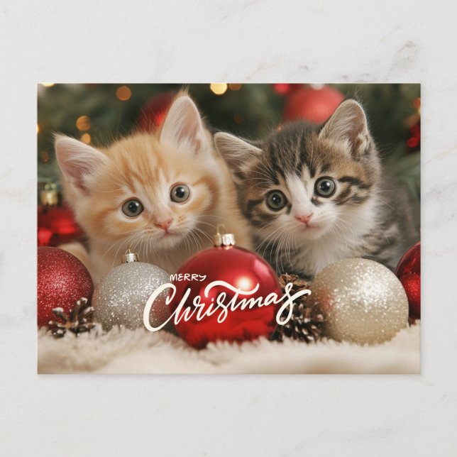 Cartes Pour Fêtes Annuelles Joyeux chatons de Noël et ornements (Devant)
