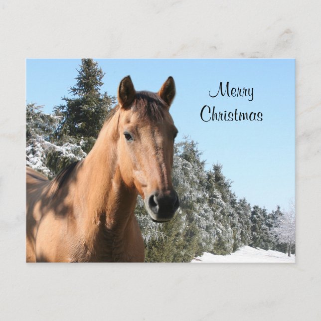 Cartes Pour Fêtes Annuelles Joyeux cheval de Noël (Devant)