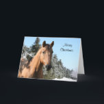 Cartes Pour Fêtes Annuelles Joyeux cheval de Noël<br><div class="desc">Cheval dans un arrière - plan enneigé vous souhaite un Joyeux Noël</div>