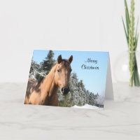 Joyeux cheval de Noël
