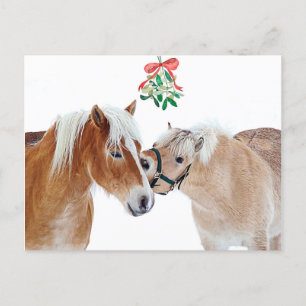 Cartes Pour Fêtes Annuelles Joyeux Cheval de Noël Mistletoe Equine Cute Ponts