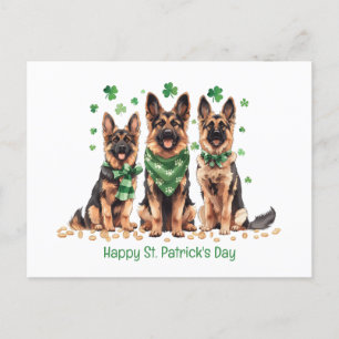 Cartes Pour Fêtes Annuelles Joyeux chien berger allemand de la Saint Patrick's
