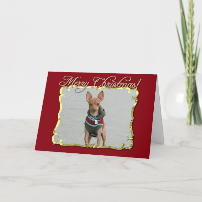 Cartes Pour Fêtes Annuelles Joyeux chien Chihuahua de Noël (Devant)