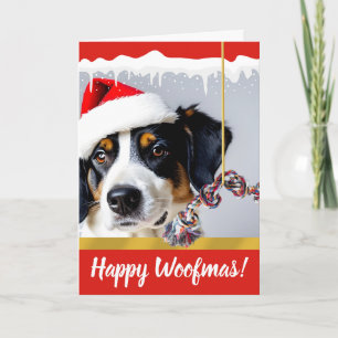 Cartes Pour Fêtes Annuelles Joyeux chien de Noël Woofmas dans la neige