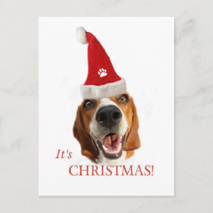 Cartes Pour Fêtes Annuelles Joyeux Chien Père Noël