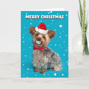 Cartes Pour Fêtes Annuelles Joyeux Chien Yorkie de Noël à Santa Hat Sourire
