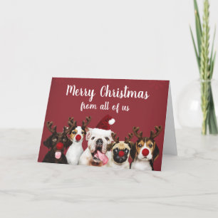 Cartes Pour Fêtes Annuelles Joyeux Chiens de Noël