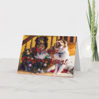 Cartes Pour Fêtes Annuelles Joyeux Chiens de Noël