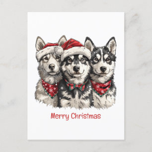 Cartes Pour Fêtes Annuelles Joyeux Chiens Husky Noël