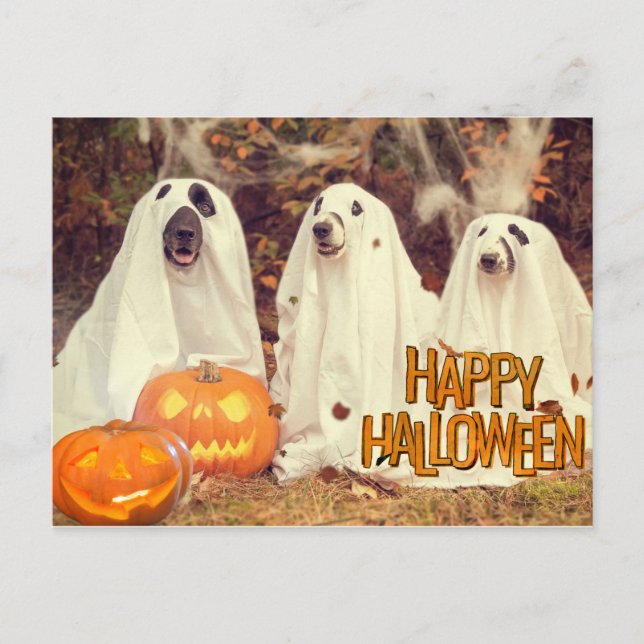 Cartes Pour Fêtes Annuelles Joyeux Chiens mignons d'Halloween en costumes fant (Devant)
