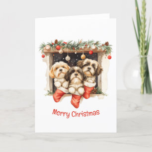 Cartes Pour Fêtes Annuelles Joyeux Chih Tzu Chiens de Noël Shih
