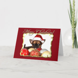 Cartes Pour Fêtes Annuelles Joyeux chihuahua chippy de Noël