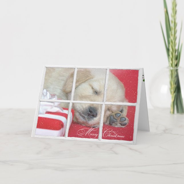 Cartes Pour Fêtes Annuelles Joyeux chiot Noël-d'or de chien d'arrêt (Devant)