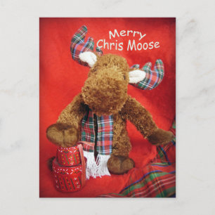 Cartes Pour Fêtes Annuelles Joyeux Chris Moose