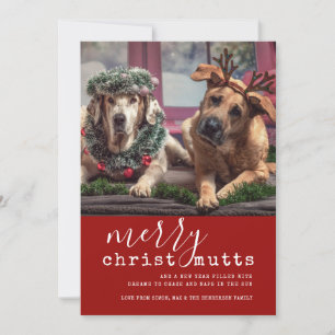 Cartes Pour Fêtes Annuelles Joyeux Christ MUTTS Chien photo mignonne simple