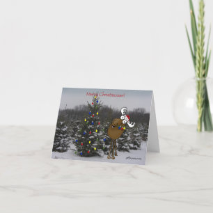Cartes Pour Fêtes Annuelles Joyeux Christmoose !