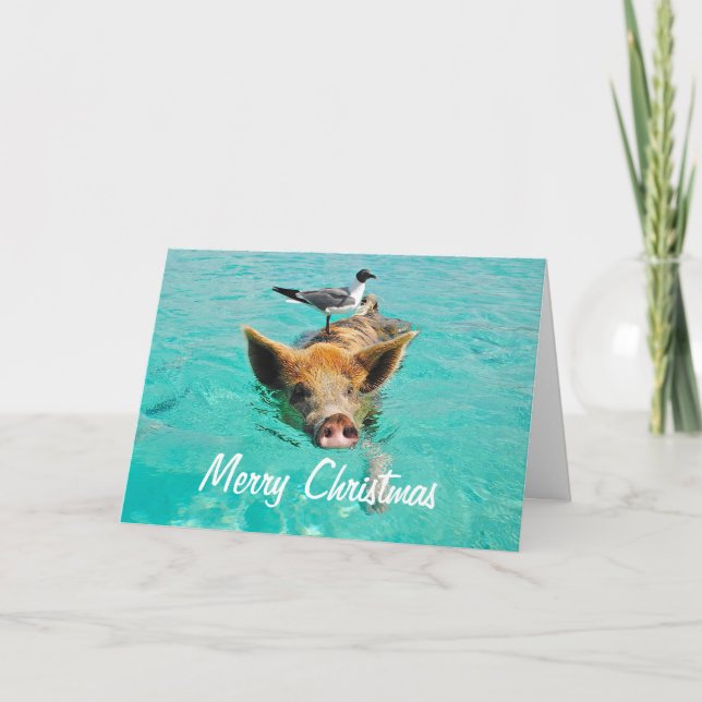 Cartes Pour Fêtes Annuelles Joyeux Cochon de natation de Noël (Devant)