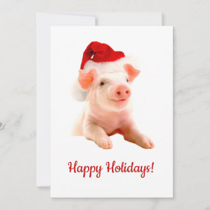 Cartes Pour Fêtes Annuelles Joyeux Cochon De Vacances Avec Santa Hat