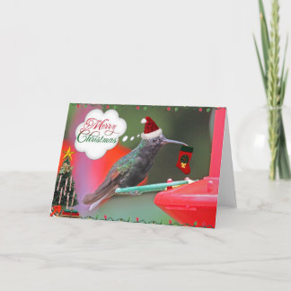 Cartes Pour Fêtes Annuelles Joyeux colibri de Noël