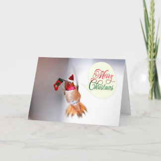 Cartes Pour Fêtes Annuelles Joyeux colibri de Noël avec réserve de Noël