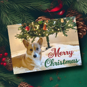 Cartes Pour Fêtes Annuelles Joyeux Corgi de Noël Beau chien sous arbre