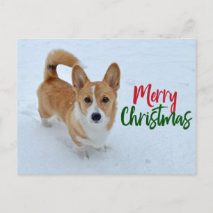 Cartes Pour Fêtes Annuelles Joyeux Corgi de Noël en neige magnifique