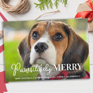 Cartes Pour Fêtes Annuelles Joyeux de façon péjorative personnalisé chien anim