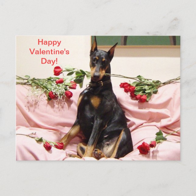 Cartes Pour Fêtes Annuelles Joyeux Dober-Valentine à vous (Devant)