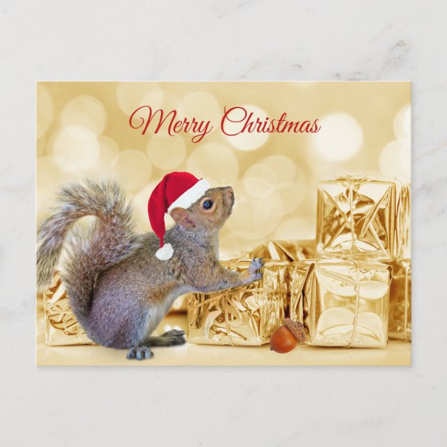 Cartes Pour Fêtes Annuelles Joyeux écureuil de Noël à Santa Hat & Cadeaux (Devant)