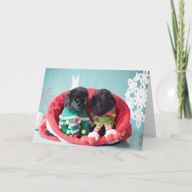 Cartes Pour Fêtes Annuelles Joyeux et avec reconnaissance chiots d'Elf (Devant)