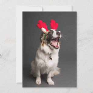 Cartes Pour Fêtes Annuelles Joyeux et Bonheur Tout !