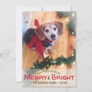 Cartes Pour Fêtes Annuelles Joyeux et brillant chien Beagle Bow rouge photo No