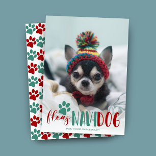 Cartes Pour Fêtes Annuelles Joyeux Feliz Navidad Photo de Chien Noël