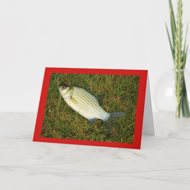 Cartes Pour Fêtes Annuelles Joyeux Fishmas ! (Devant)