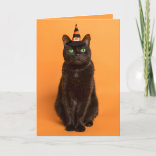 Cartes Pour Fêtes Annuelles Joyeux Halloween à tous Chat noir en chapeau de so
