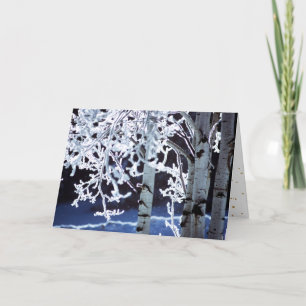 Cartes Pour Fêtes Annuelles Joyeux Hanukkah Les bouleaux givrés