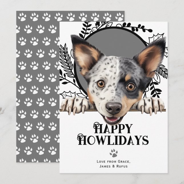 Cartes Pour Fêtes Annuelles Joyeux Howlidays Australian Stumpy Dog Christmas (Devant / Derrière)