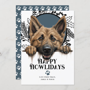 Cartes Pour Fêtes Annuelles Joyeux Howlidays Belgique Berger Chien Noël