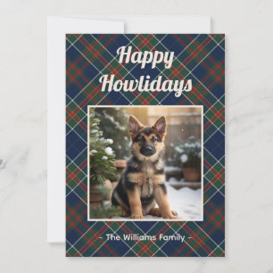 Cartes Pour Fêtes Annuelles Joyeux Howlidays Chien Carreaux Bleus Noël
