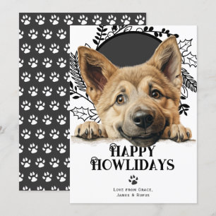 Cartes Pour Fêtes Annuelles Joyeux Howlidays Chien Chinook Noël