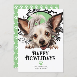 Cartes Pour Fêtes Annuelles Joyeux Howlidays Chinese Crested Dog Christmas